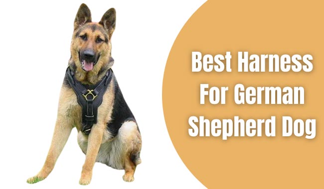 Top 5 best tactical harness for german shepherd