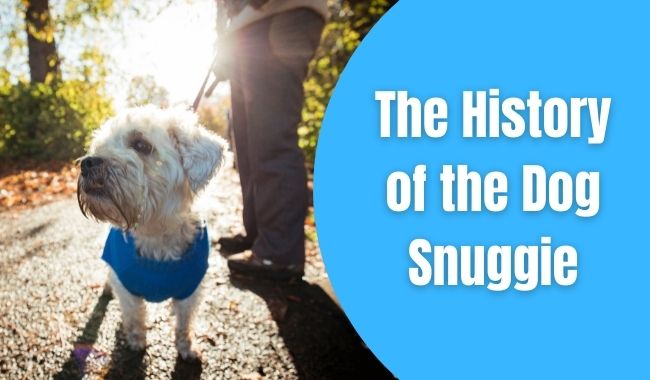 The History of the Dog Snuggie