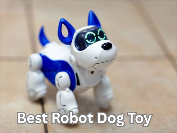 Robot Dog Toy
